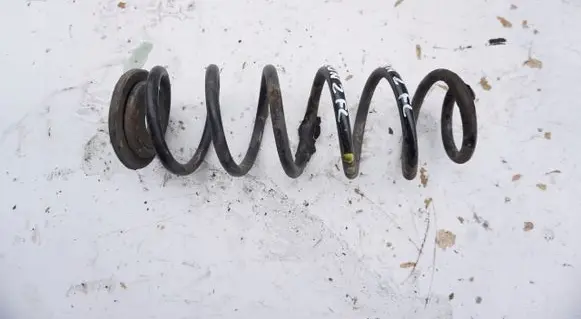 Rear coil spring