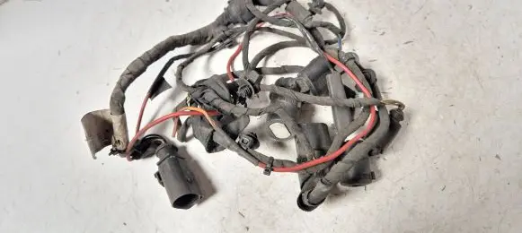Audi A6 Allroad C5 Parking sensor (PDC) wiring loom 4F1971095A