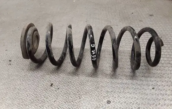 Volkswagen PASSAT B6 Rear coil spring