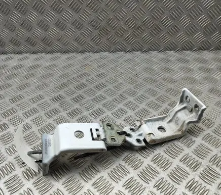 Renault Master III Rear door hinge set 844000013R
