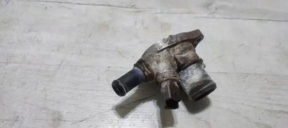 Thermostat/thermostat housing