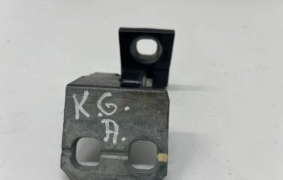 Rear door lower hinge