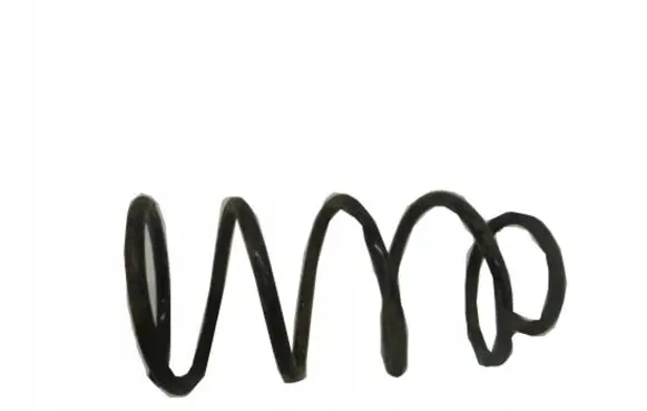 Ford Focus Front coil spring