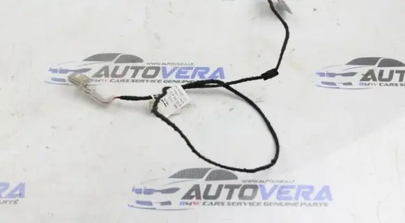 BMW X5 E70 Rear door interior light 7184662