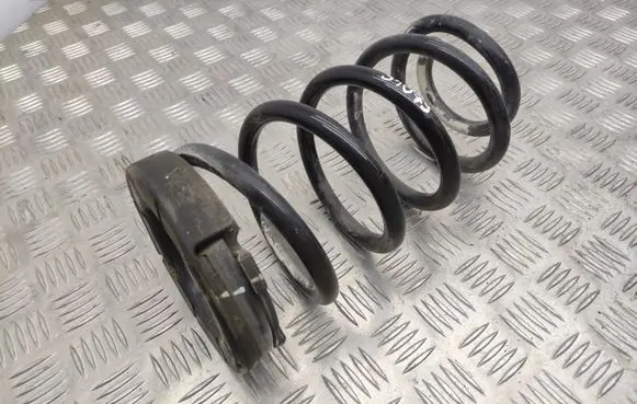 Hyundai Santa Fe Rear coil spring