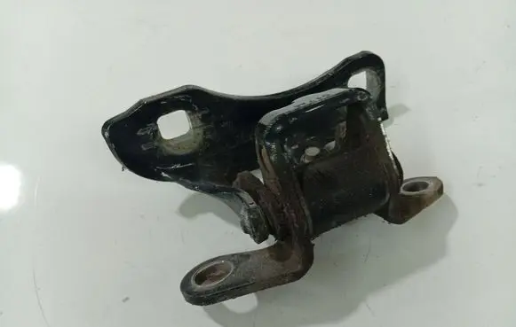 Chrysler 300 - 300C Rear door lower hinge 