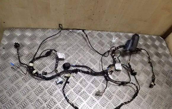 BMW X3 F25 Front door wiring loom 9243649 7252538 9243639