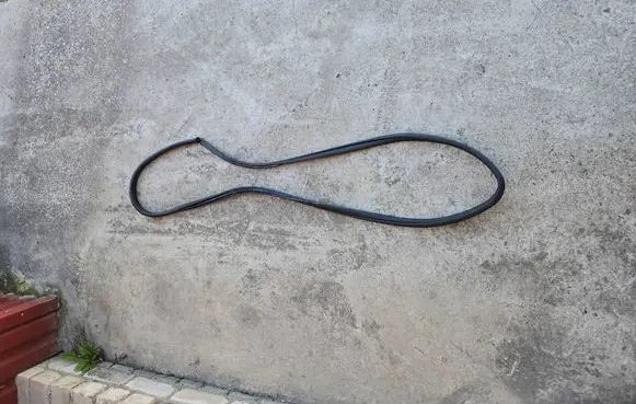 Toyota RAV 4 (XA40) Front door rubber seal