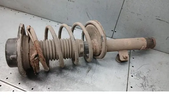 Peugeot 206 CC Front shock absorber/damper 22052964