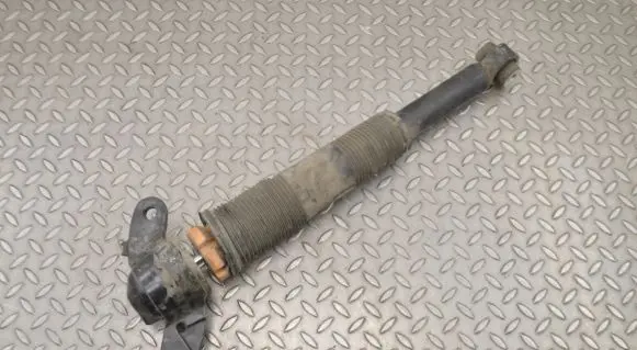Land Rover Discovery Sport Rear shock absorber/damper