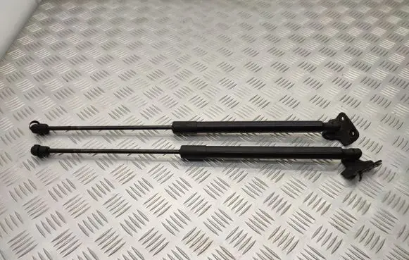 Ford B-MAX Tailgate/trunk strut/damper AV11R406A10AB