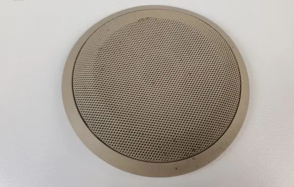 BMW 3 E92 E93 Front door speaker cover trim 6953632