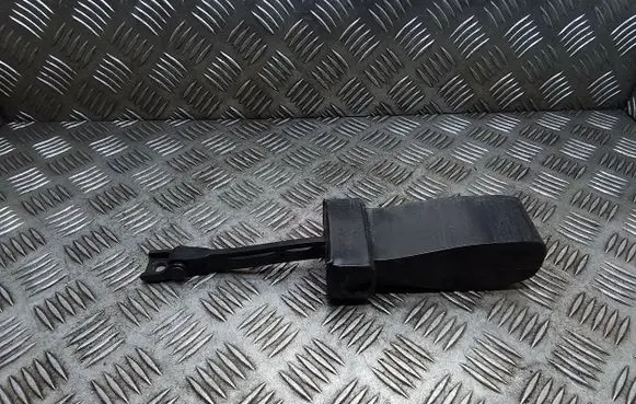 Skoda Yeti (5L) Front door check strap stopper 5L0837249