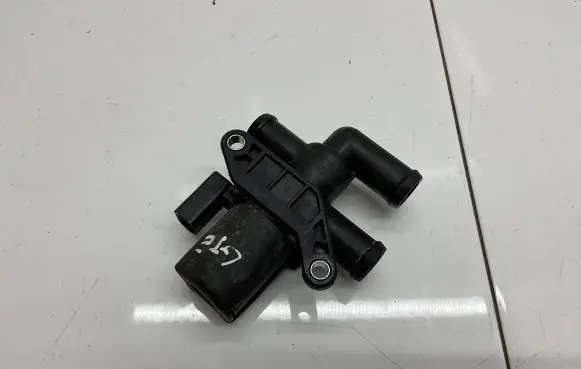 Volkswagen Golf VII Electric auxiliary coolant/water pump 1T0820036