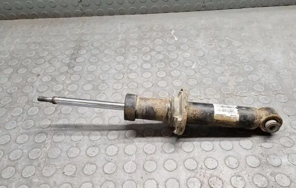 BMW X3 F25 Rear shock absorber/damper 6796317