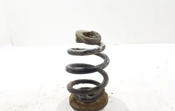 Rear coil spring