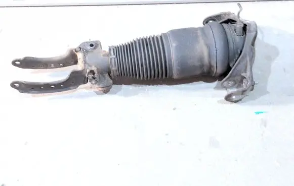Porsche Cayenne (9PA) Air suspension front shock absorber 7L5412021BD