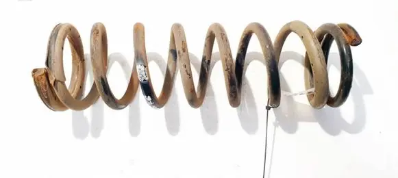 Mazda CX-7 Rear coil spring