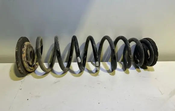 Rear coil spring