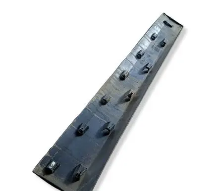 Renault Scenic III - Grand scenic III Front door trim (molding) 808770002R