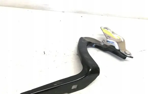 Tesla Model Y Engine bonnet/hood hinges