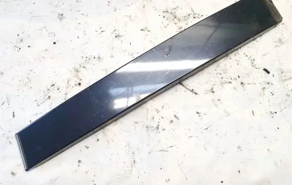 Other rear door trim element