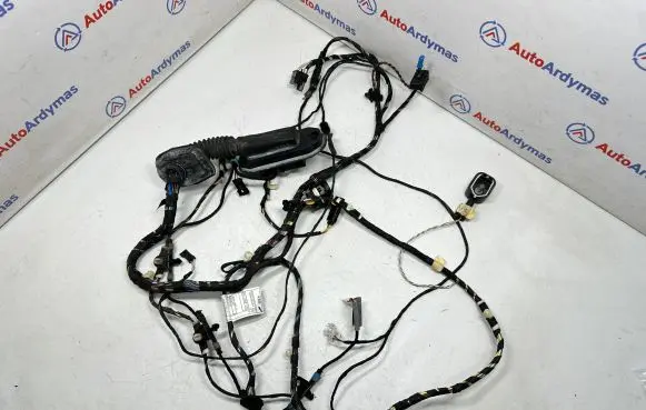 Front door wiring loom
