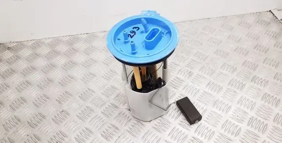 Volkswagen Scirocco In-tank fuel pump 1K0919051BH