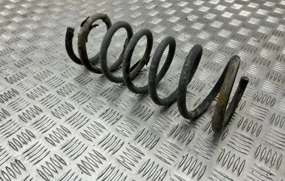 Rear coil spring