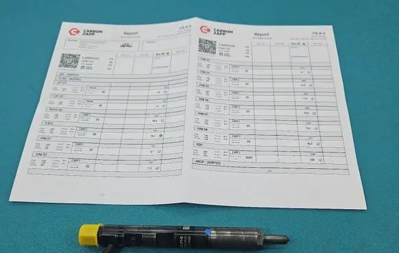 Renault Twingo II Fuel injector EJBR05102D IMPRK1531615