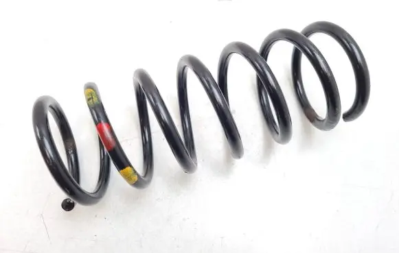 Rear coil spring