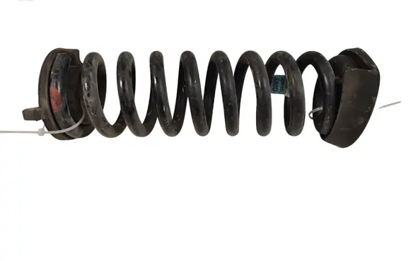 Chevrolet Camaro Rear coil spring 23341860 AA0D