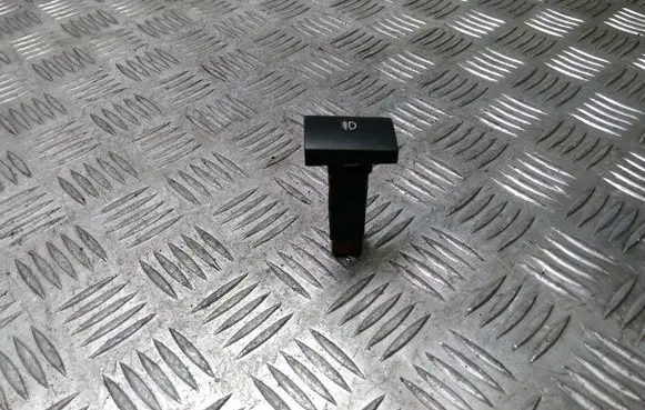 Fog light switch