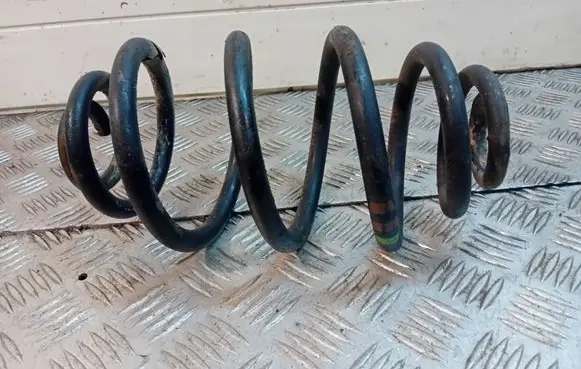 Rear coil spring