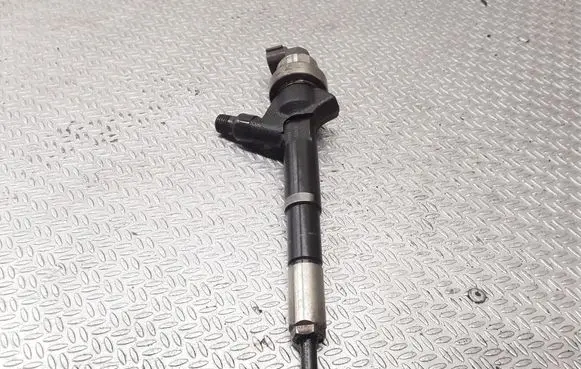 Opel Zafira B Fuel injector 8973762703