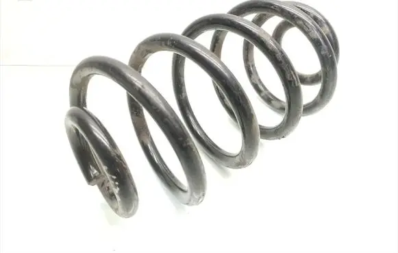 Rear coil spring