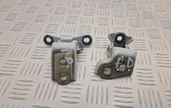 Renault Scenic E-Tech V Front door hinge set 