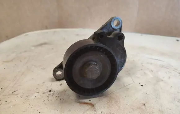 Renault Laguna III Power steering belt tensioner 8200357406