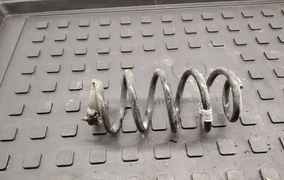 Rear coil spring