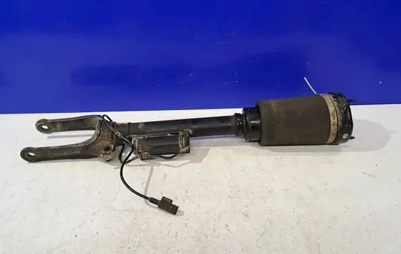 Mercedes-Benz R W251 Front shock absorber/damper A1645406610
