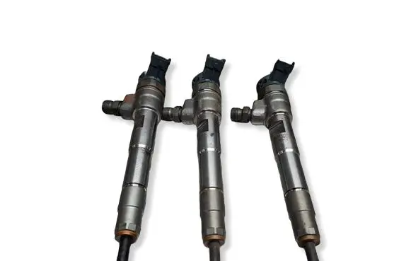 Renault Kangoo III Fuel injector S27624885 0445110800 8201636333