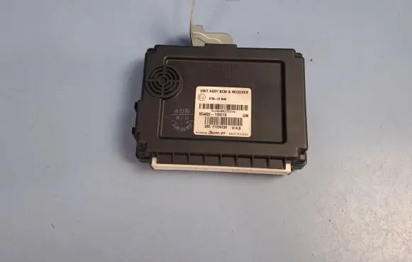 KIA Carens II Other control units/modules 954001D610 97RA010048