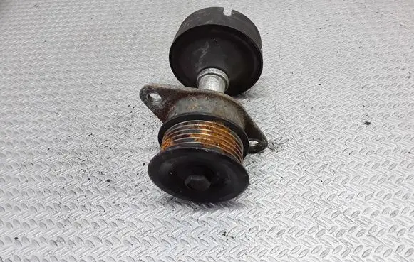 Ford Focus Alternator pulley 