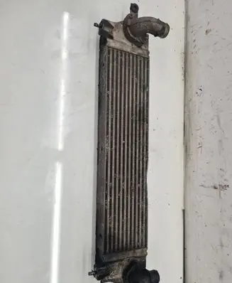 Nissan Qashqai+2 Intercooler radiator G3062003