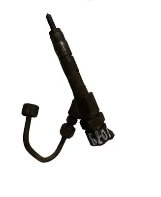 Renault Laguna II Fuel injector 8200100272