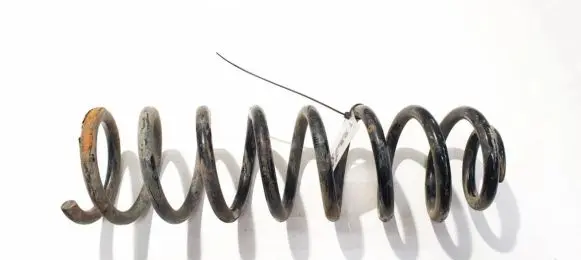 Rear coil spring