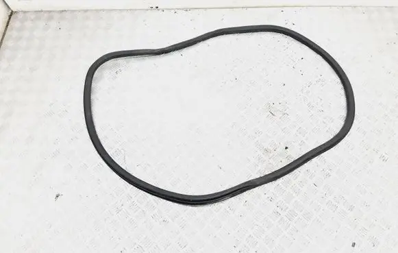 Ford Fusion II Rubber seal rear door 
