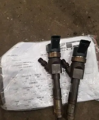Renault Megane II Fuel injector 0445110280