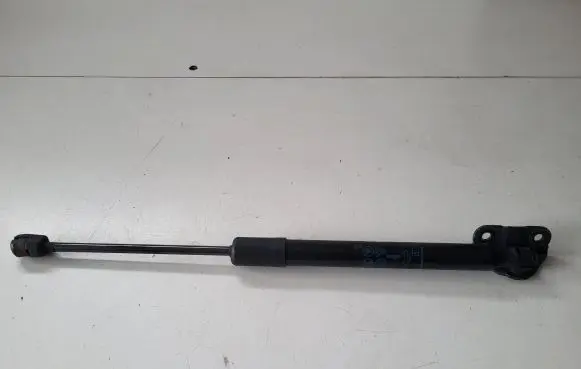 Opel Crossland X Tailgate/trunk strut/damper 9581810616N