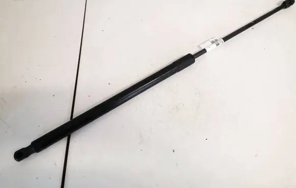 Opel Insignia A Tailgate/trunk strut/damper 315005777